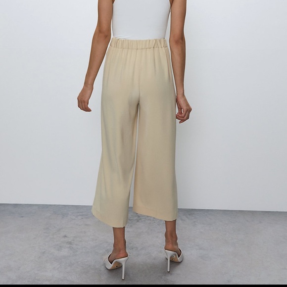 Babaton Antiqua Pants(brand new with tag on) - Picture 3 of 7